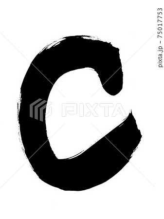 書道筆 まとめてC 突っ込める 