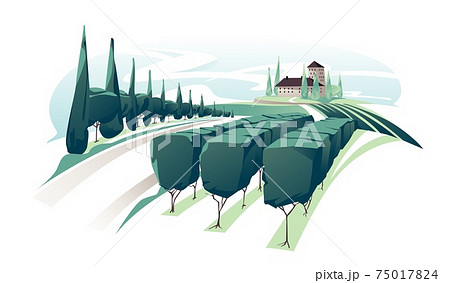 Vineyard wine grapes hills farm. Romantic rural landscape in sunny day with villa, vineyard fields, plantation hills, farms, meadows and trees. Vector color creative illustration 75017824