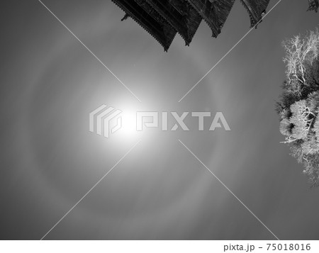 備中国分寺　五重塔　月暈 75018016