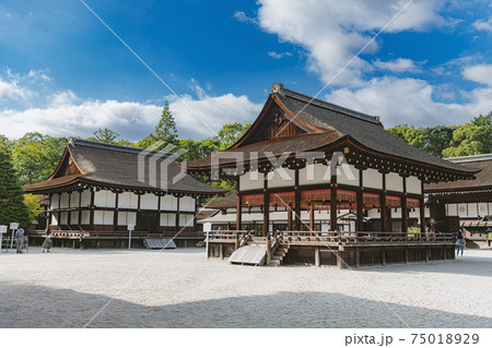 京都 下鴨神社の境内風景 75018929