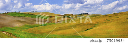 Tuscana landscapes. Hills of Orcia. panorama Tuscana landscapes. Hills of Orcia. panorama 75019984