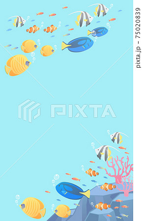 夏の海の熱帯魚のベクターイラストフレーム背景 コピースペース メッセージカード のイラスト素材 7509