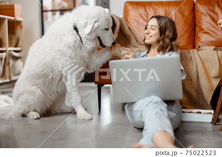 Woman working at home sitting with dog Woman working at home sitting with dog 75022523
