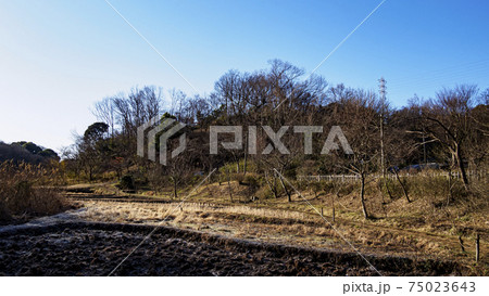 横浜市の原風景里山戸塚区舞岡公園の早春 横浜市の原風景里山戸塚区舞岡公園の早春 75023643