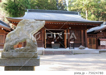 霧島市　和気神社の狛猪と本殿 75024780