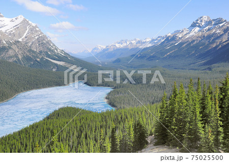 Peyto lake at spring morning. Alberta. Peyto lake at spring morning. Alberta. 75025500