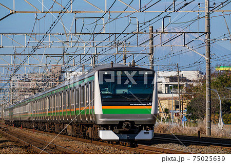 富士山と東海道線普通列車 75025639