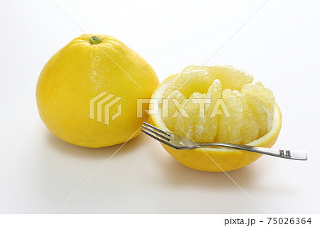 ぶんたん 75026364