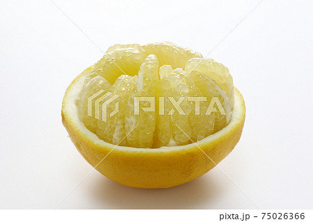 ぶんたん ぶんたん 75026366