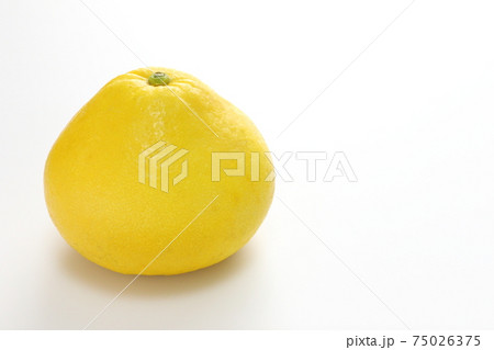 ぶんたん 75026375