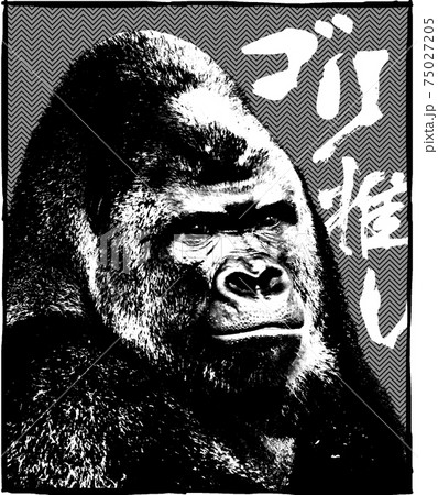 ODYSSEYFZGSDDJFLX10CW ゴリラになります ODYSSEYFZGSDDJFLX10CW ゴリラになります ODYSSEYFZGSDDJFLX10CW