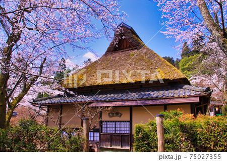 花筐公園ー春 75027355