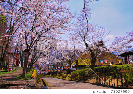 花筐公園ー春 75027900
