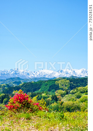 奈良井思恩公園から北アルプスを望む（5月） 75028191
