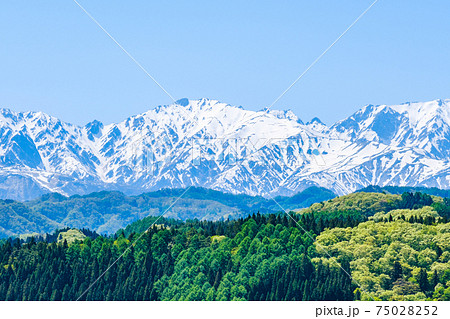 春の唐松岳：奈良井思恩公園より 75028252