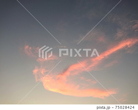 夕日に照らされたピンク色の雲（羽の生えた天使、羽ばたく鳥のような形） 75028424