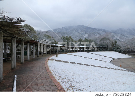 讃岐の冬、香川用水記念公園の雪景色 75028824