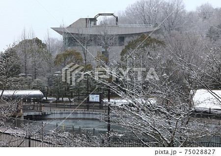 讃岐の冬、香川用水記念公園の雪景色 讃岐の冬、香川用水記念公園の雪景色 75028827