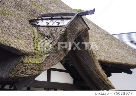 萱葺き屋根のクローズアップ 萱葺き屋根のクローズアップ 75028977
