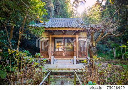 古都鎌倉の秋 紅葉の妙法寺 大覚殿 古都鎌倉の秋 紅葉の妙法寺 大覚殿 75028999