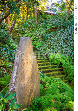 古都鎌倉の秋 紅葉の妙法寺 苔の石段の写真素材 古都鎌倉の秋 紅葉の妙法寺 苔の石段の写真素材