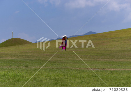 墓 芝生 人 75029328