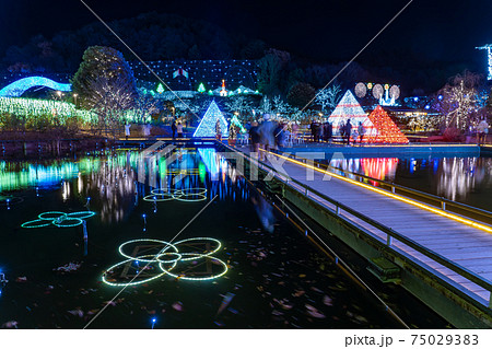 栃木県足利市 ピラミッドのあるあしかがフラワーパークのイルミネーション 栃木県足利市 ピラミッドのあるあしかがフラワーパークのイルミネーション 75029383