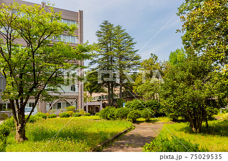 東北大学川内キャンパス 75029535