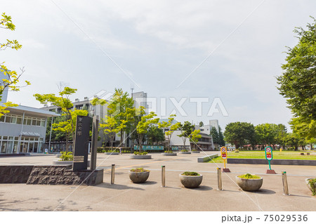 東北大学川内キャンパス 75029536