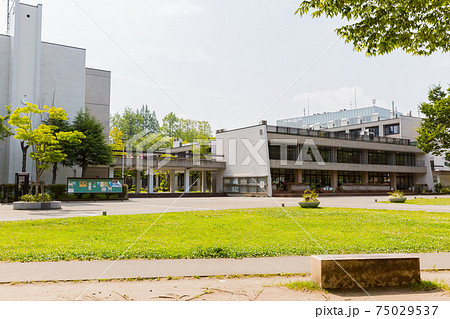 東北大学川内キャンパス 75029537