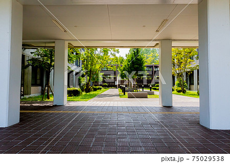 東北大学川内キャンパス 75029538