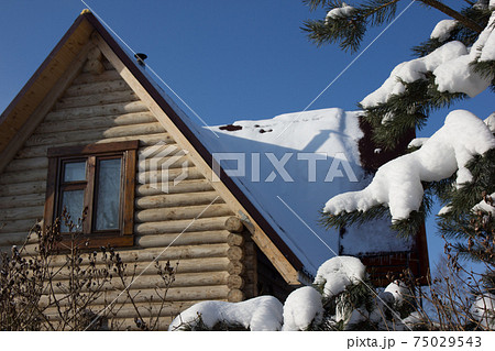 beautiful wooden home in winter of the Christmas tree beautiful wooden home in winter of the Christmas tree 75029543