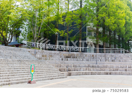 東北大学川内キャンパス 東北大学川内キャンパス 75029583