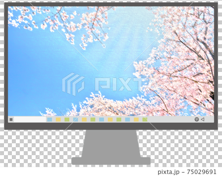 モニター　16：9　桜　青空 75029691
