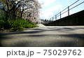 通学路 75029762