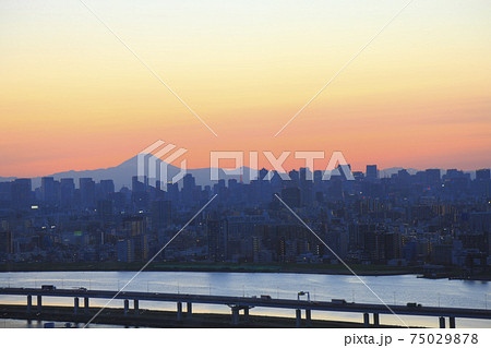 江戸川区 俯瞰 タワーホール船堀 展望台 75029878