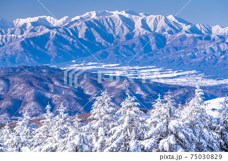 《長野県》霧氷の原生林・冬の霧ヶ峰高原 75030829
