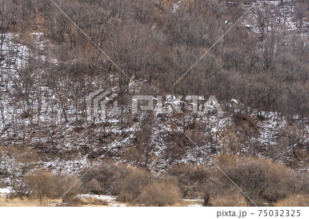 鳥 冬 山 75032325