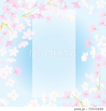 中央に文字スペースのある桜と青空の正方形イラスト背景 ベクター素材 のイラスト素材