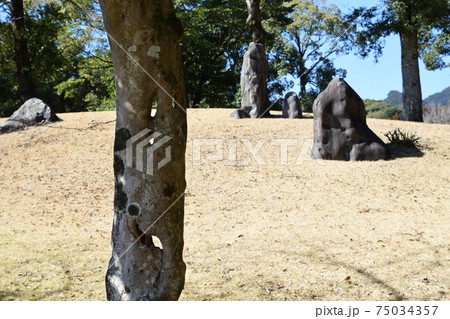 法華嶽公園日本庭園 75034357