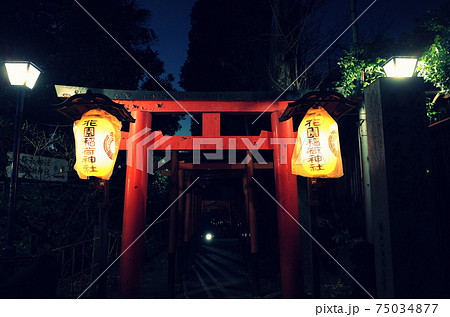 夜の神社にて 夜の神社にて 75034877