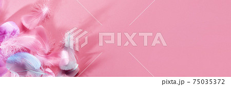 Abstract banner with soft pink feathers and shadows, Flat lay, copy space Abstract banner with soft pink feathers and shadows, Flat lay, copy space 75035372