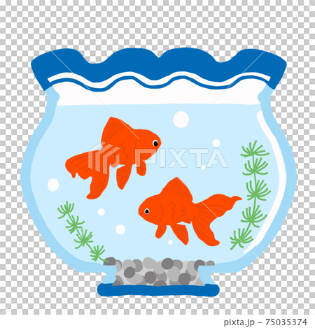 Illustration of a fishbowl with a Ryukin goldfish Illustration of a fishbowl with a Ryukin goldfish 75035374