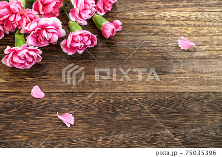 ピンクのカーネーションとボタニカル木目の背景の写真素材