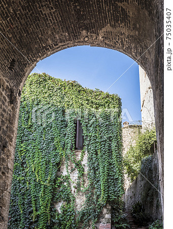 View from the arch to the street with a house covered with greenery in San Gimignano, Italy 75035407