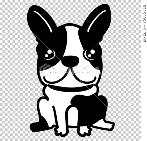 French Bulldog Freble Dog Pet Illustration Material 75035518