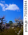快晴の大阪城の梅林（2021年） 75036944