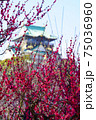 快晴の大阪城の梅林（2021年） 75036960