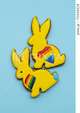 gay love lgbt pride bunny couple rainbow heart 75038329