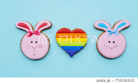 lesbian love lgbt rights pink bunny rainbow heart 75038332